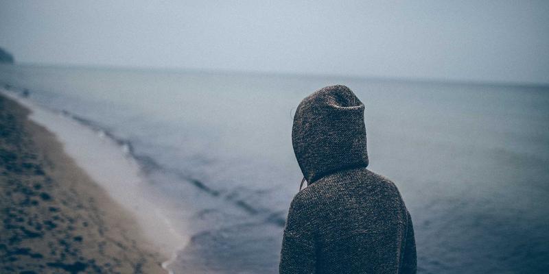 2024环保与自然主题网站设计趋势：精选UI Kits与Website Templates资源推荐