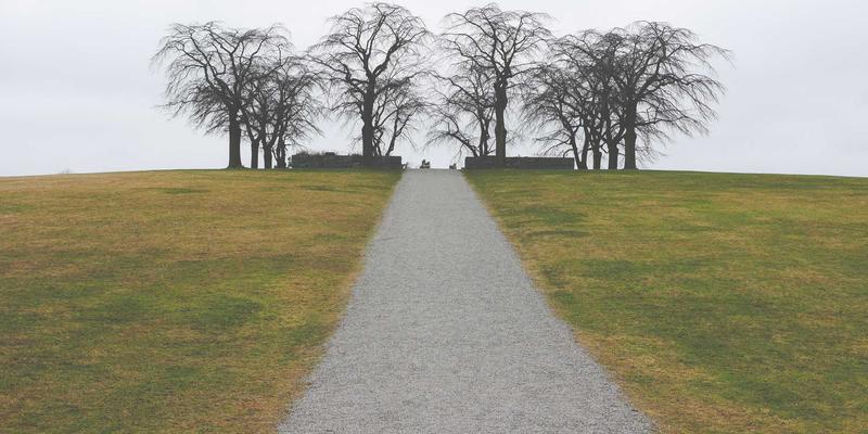 Elevate Your Web Design with Website Templates 36: Icons, Memphis Style & UI Kits