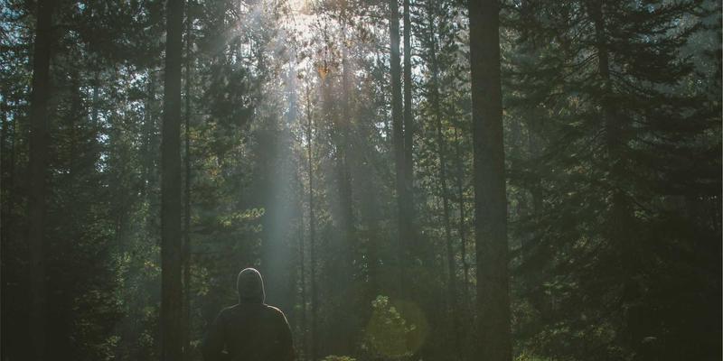 Website Templates 101: 如何利用设计资源与图形打造专业网站