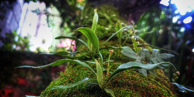 Website Templates 26：免费模板、图标与高级模板的终极选择指南