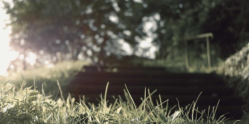 Website Templates 50:免费与付费模板的终极选择指南