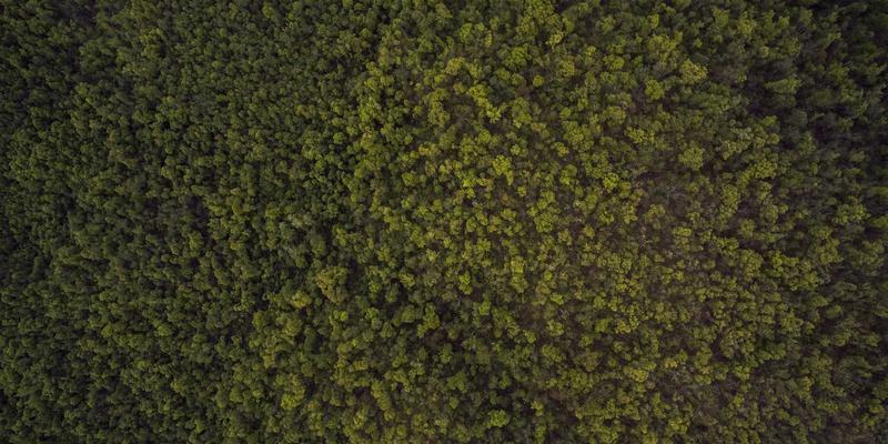 Website Templates, UI Kits & Icons： 现代网页设计的效率与美学基石