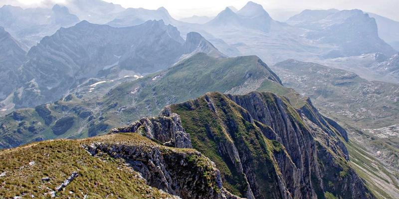 从Premium Templates到Icons：如何用高质量模板重塑你的Web Design