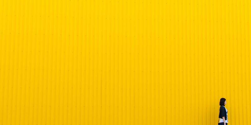 从紫色主题到UI套件:探索网站模板的设计趋势与商业前景