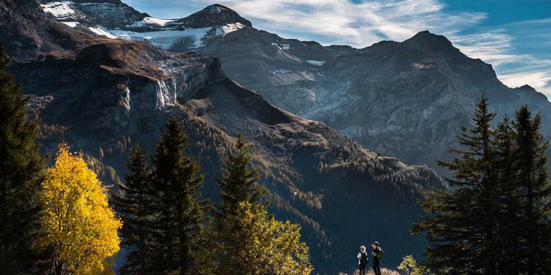 优质网站模板如何助力非营利组织：在捐赠功能与故事叙述间找到完美平衡