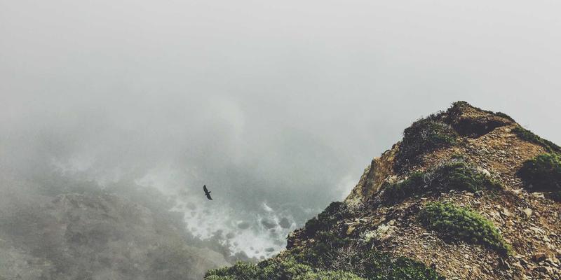 利用专业Website Templates与UI Kits构建高互动在线社区：功能集成与视觉体验全解析