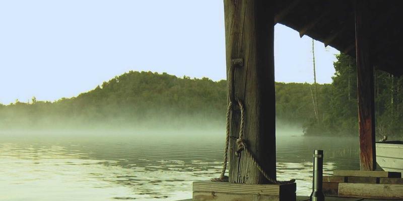 如何为初创公司选择高性价比的响应式网站模板：聚焦Icons、Purple Theme与关键陷阱规避