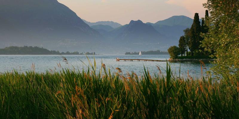 如何评估付费网站模板的性价比：聚焦授权条款、更新支持与社区评价