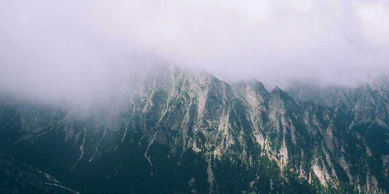 打造卓越学习体验：教育机构与在线课程网站的紫色主题Web设计与功能模块整合