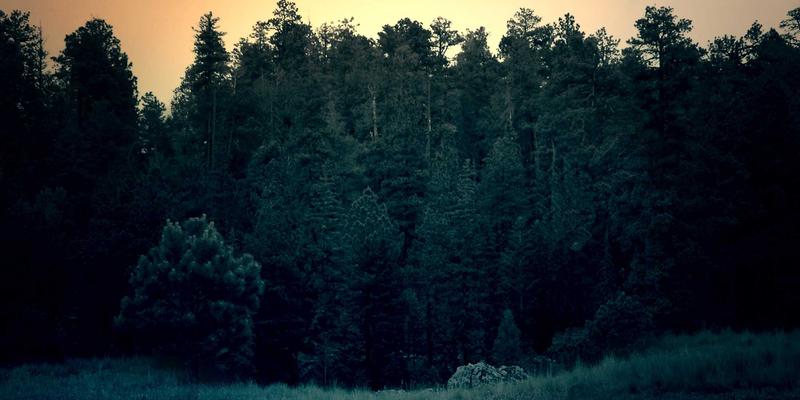 教育机构与在线课程平台网站模板选择指南：集成LMS与社区功能的Memphis Style免费与付费模板解析