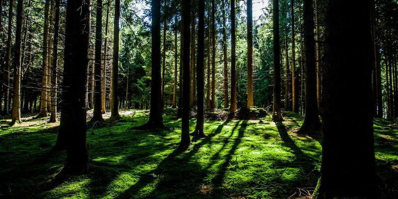 暗黑模式设计趋势下的网站模板：如何选择与实施以提升用户体验