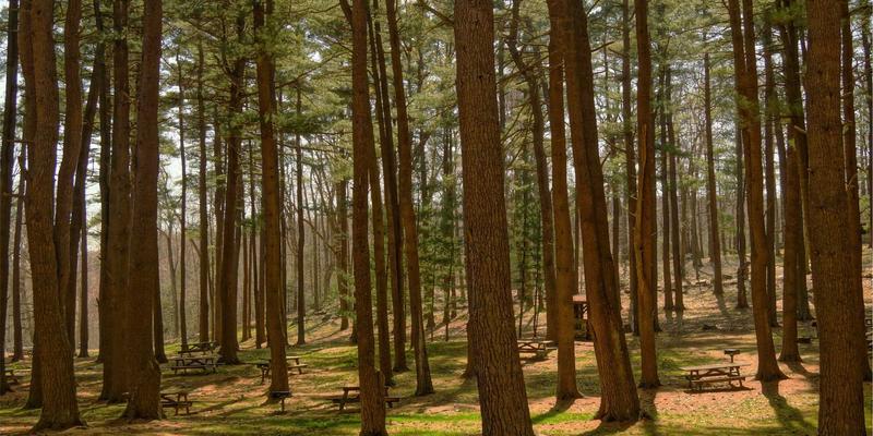 艺术家与摄影师必备：精选画廊网站模板与优化全攻略，提升作品展示与设计资源利用