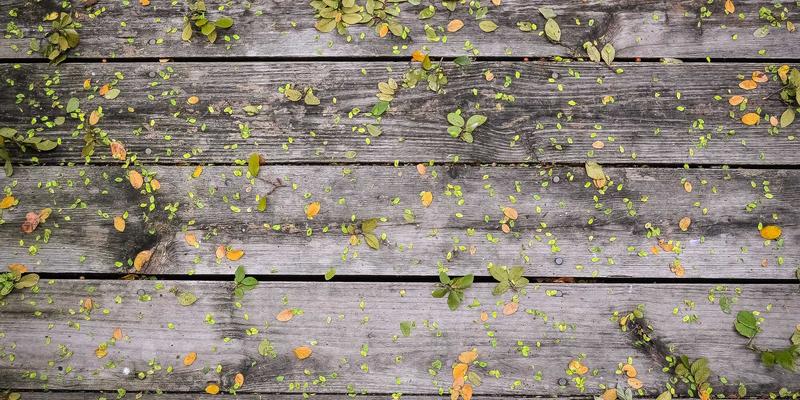 视觉叙事的力量：如何运用Web Design与Design Resources打造婚礼策划网站的情感共鸣