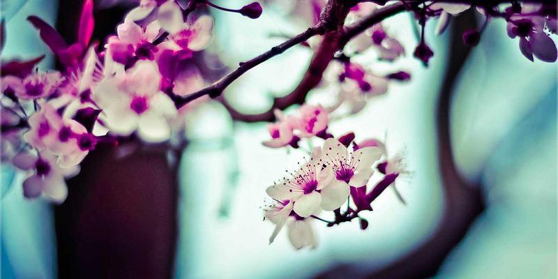 解锁创意：从免费模板到孟菲斯风格UI套件，打造非凡网站的完整指南