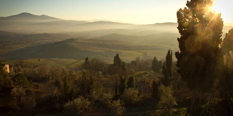 解锁数字美学:探索紫色主题网站模板与UI套件的设计魔力