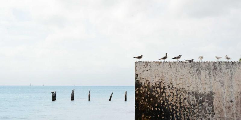 解锁数据洞察力：平衡可视化与体验的SaaS仪表盘免费模板与图形设计指南