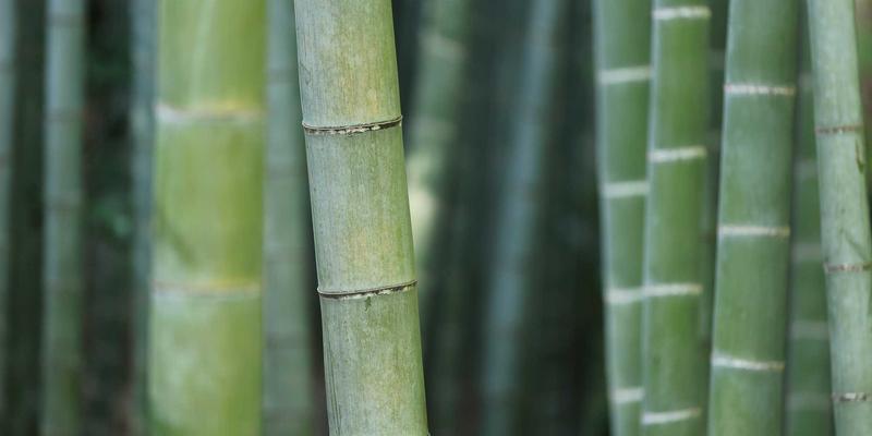 超越模板：如何将现成网站模板进阶为独特的设计杰作