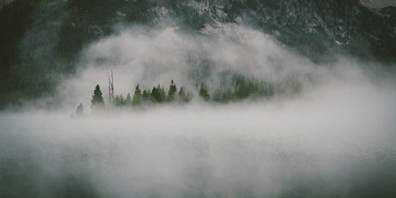 非营利组织网站模板：如何用紫色主题UI套件整合捐赠、志愿者与故事叙述