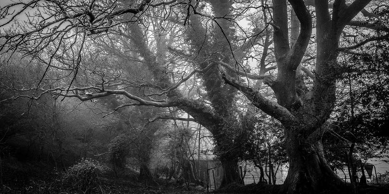 驾驭紫色魅力：精选Website Templates如何提升您的Web Design格调