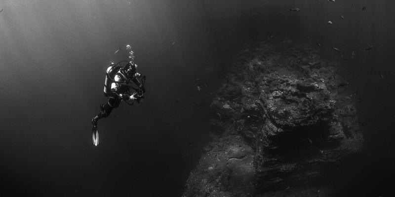 高级网站模板与UI套件:如何选择专业设计资源加速项目开发